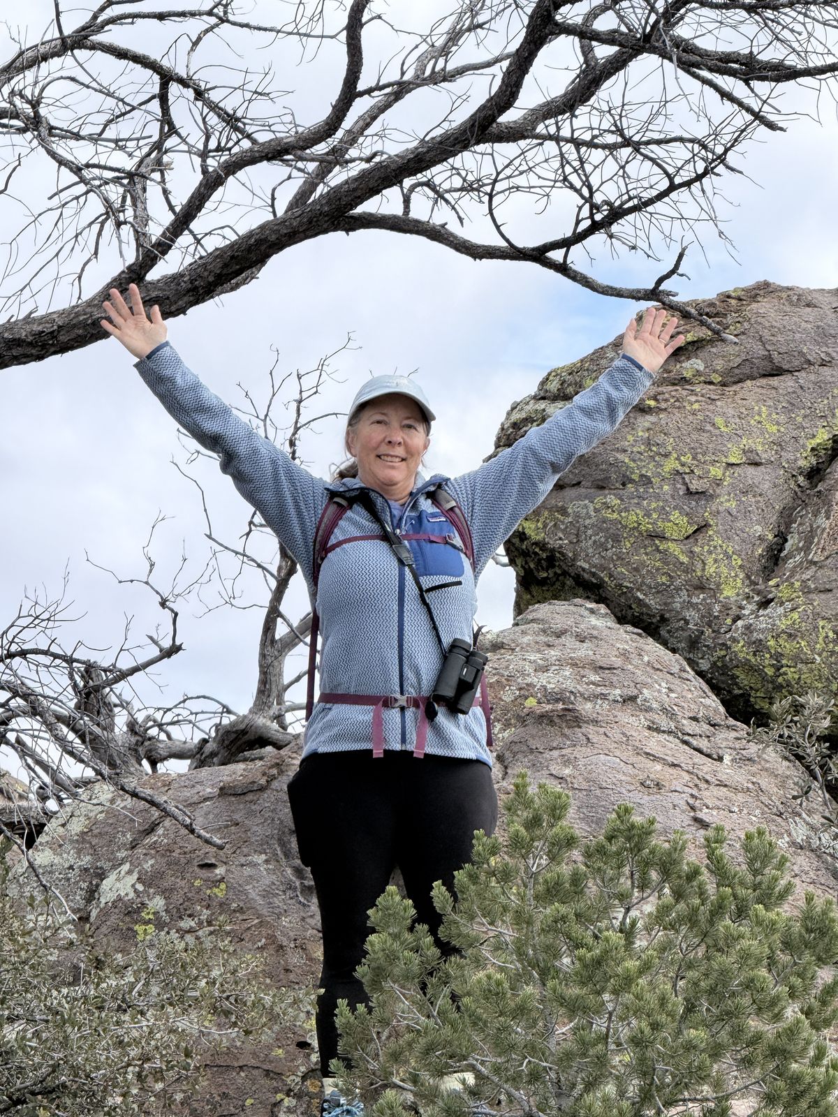 Onto the next adventure and Ramsey Canyon for a few days of birding