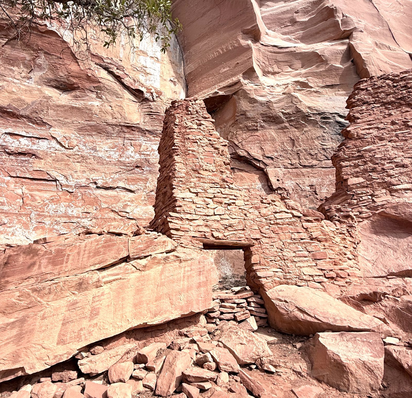 In this photo it is hard to see but there is an entire dwelling that was built from stone and mortar. This used to be a multi-story structure from about 900 years ago. Just amazing how all of this was happening here so long ago.